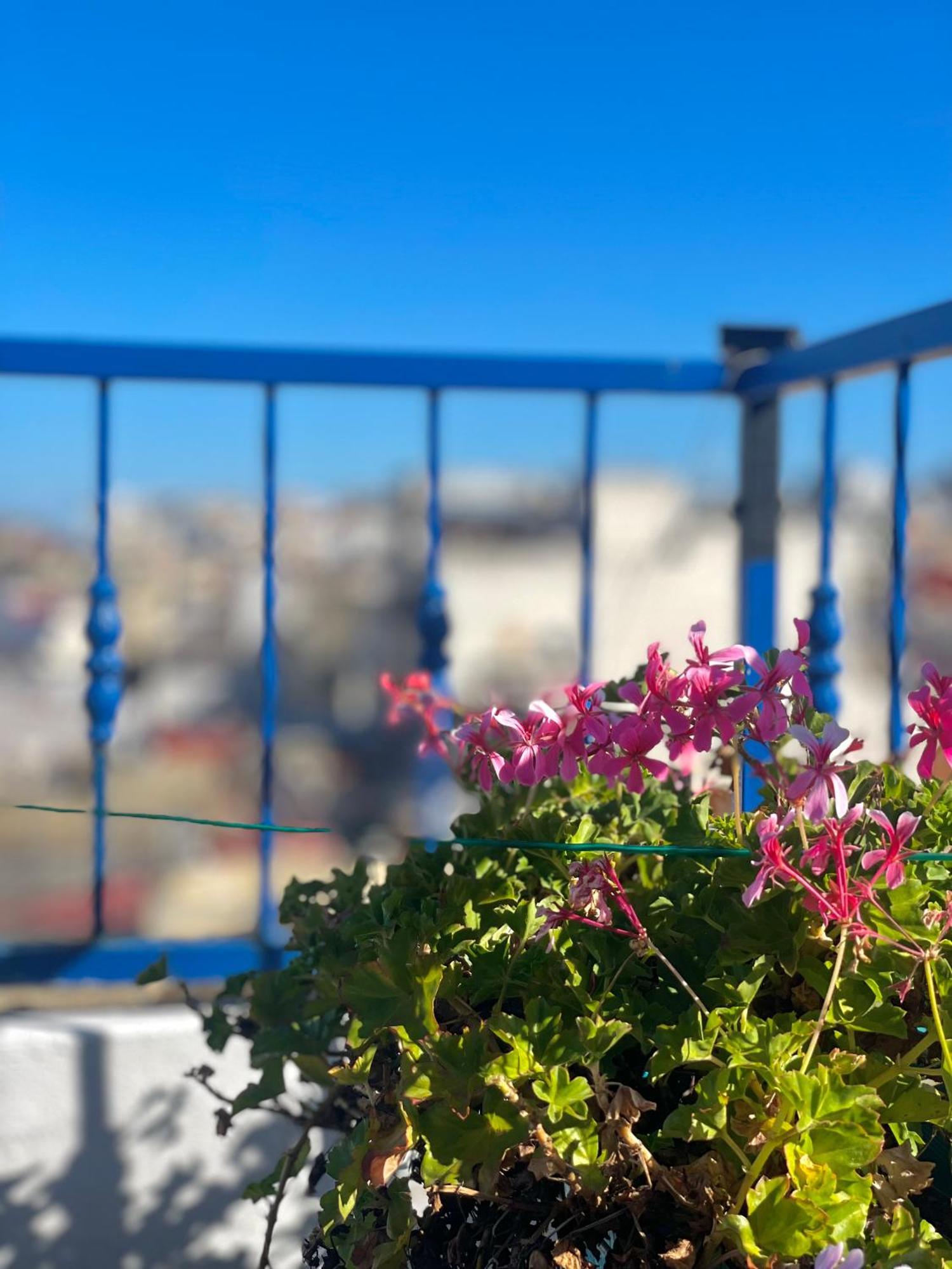 Ibn Batouta House Tangier